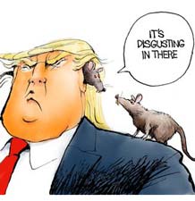 Donald Trump, Rat